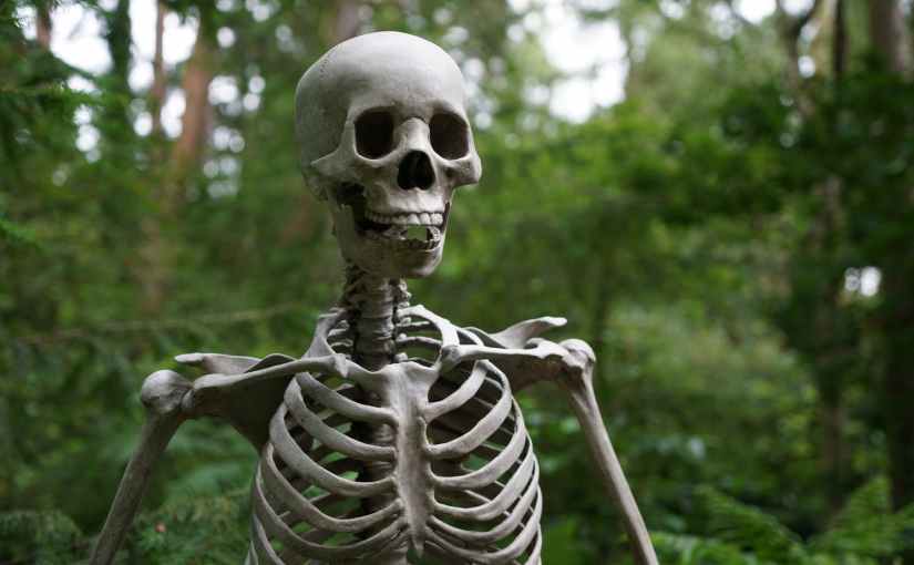 El futuro de la comunicación está en nuestros&nbsp;huesos