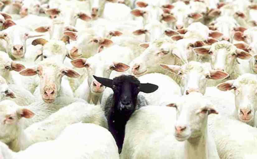 ¿Y si existieran más ovejas&nbsp;negras?