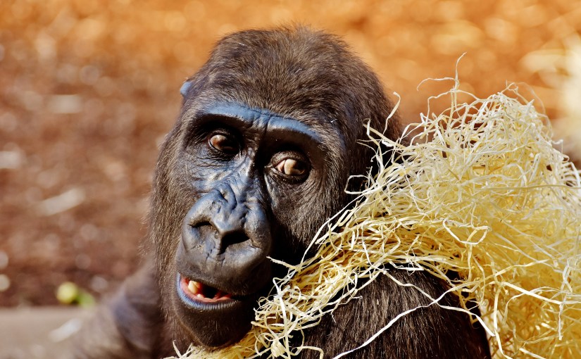 ¿Por qué no todas las marcas pueden hacer Branded&nbsp;Content?